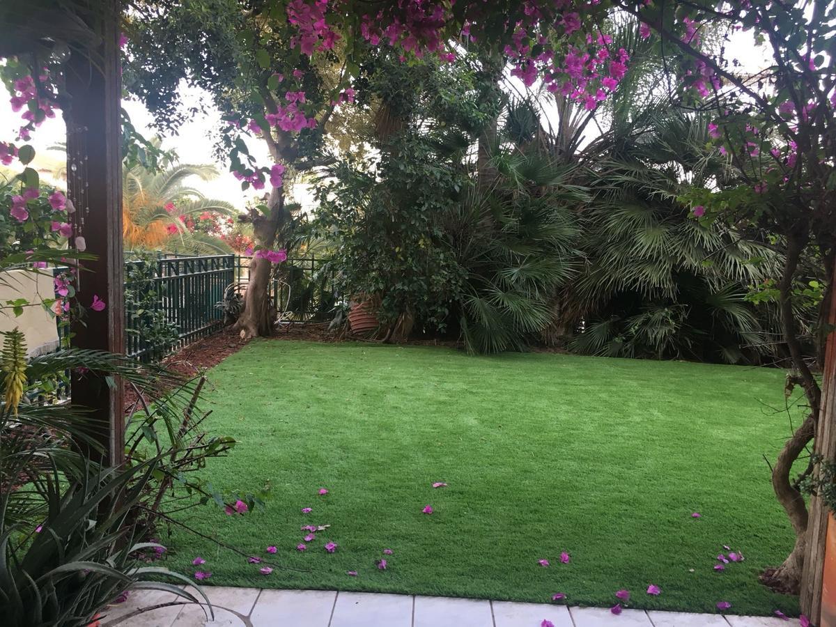 Pool & Garden Lejlighedshotel Rehovot Eksteriør billede
